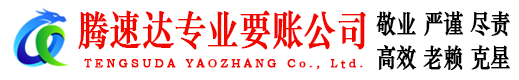 大通收债公司